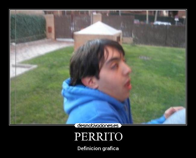 PERRITO - Definicion grafica