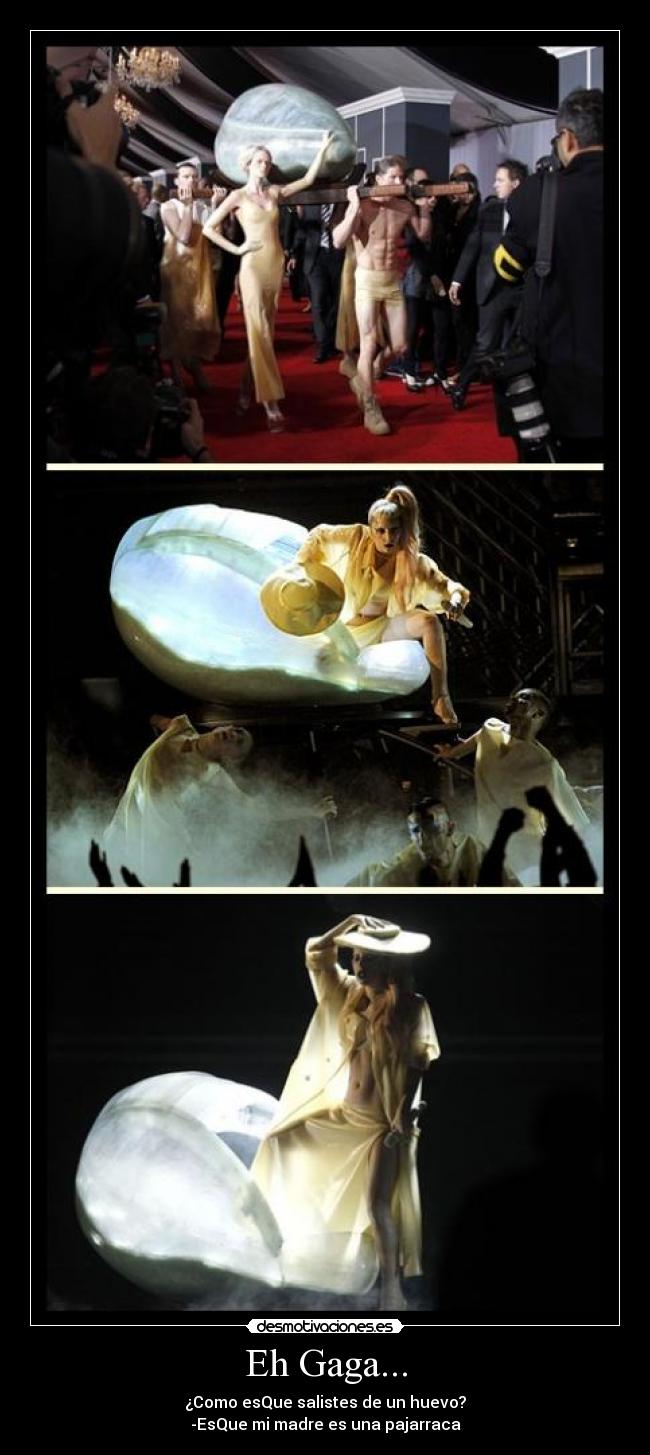 Eh Gaga... - ¿Como esQue salistes de un huevo?
-EsQue mi madre es una pajarraca