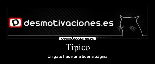 Típico - Un gato hace una buena página
