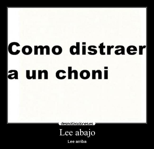 Lee abajo - Lee arriba