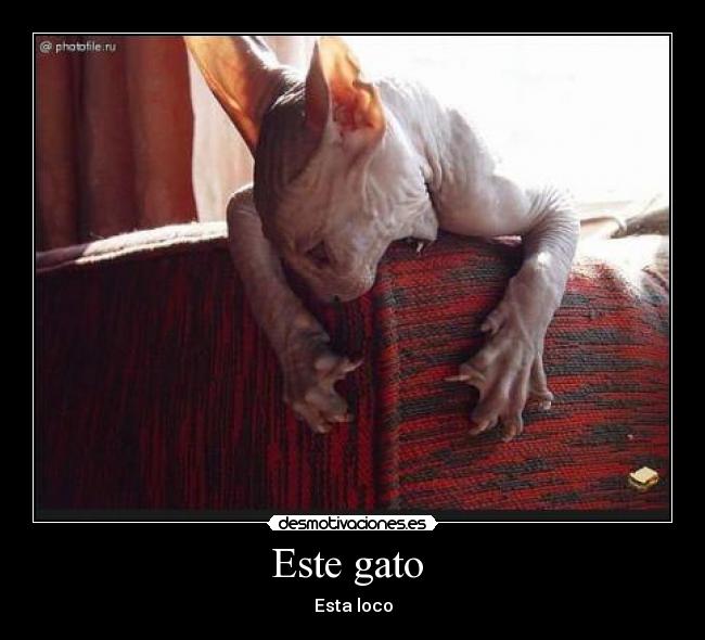 carteles tgrttg desmotivaciones