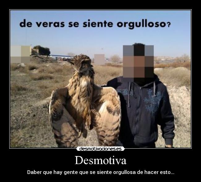 carteles orgulloso aver muertas buho idiota asesino desmotivaciones