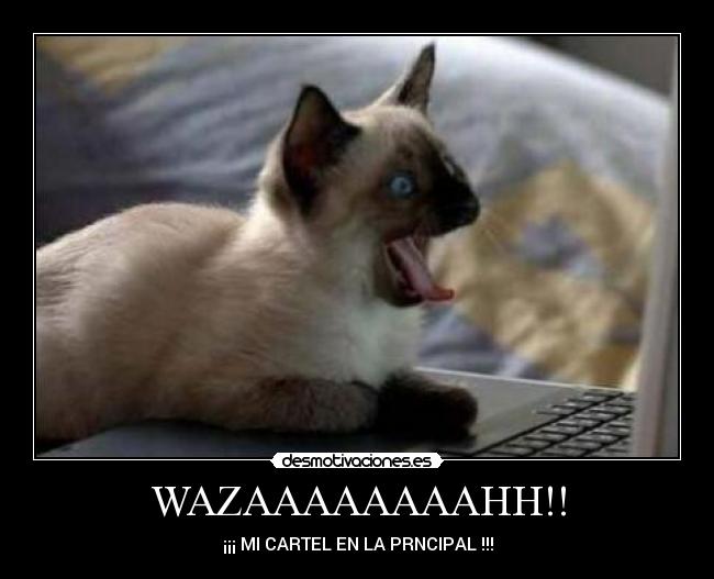 WAZAAAAAAAAHH!! - ¡¡¡ MI CARTEL EN LA PRNCIPAL !!!