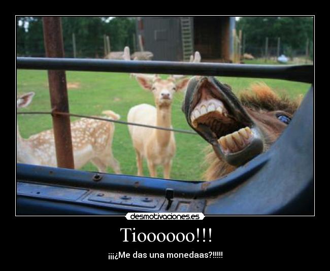 Tioooooo!!! - ¡¡¡¿Me das una monedaas?!!!!!
