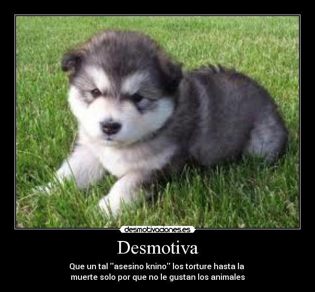 Desmotiva - Que un tal asesino knino los torture hasta la 
muerte solo por que no le gustan los animales