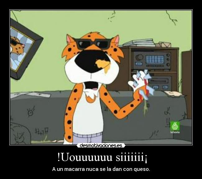 !Uouuuuuu siiiiiii¡ - A un macarra nuca se la dan con queso.