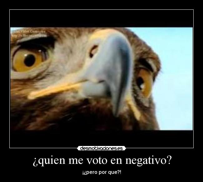 ¿quien me voto en negativo? -