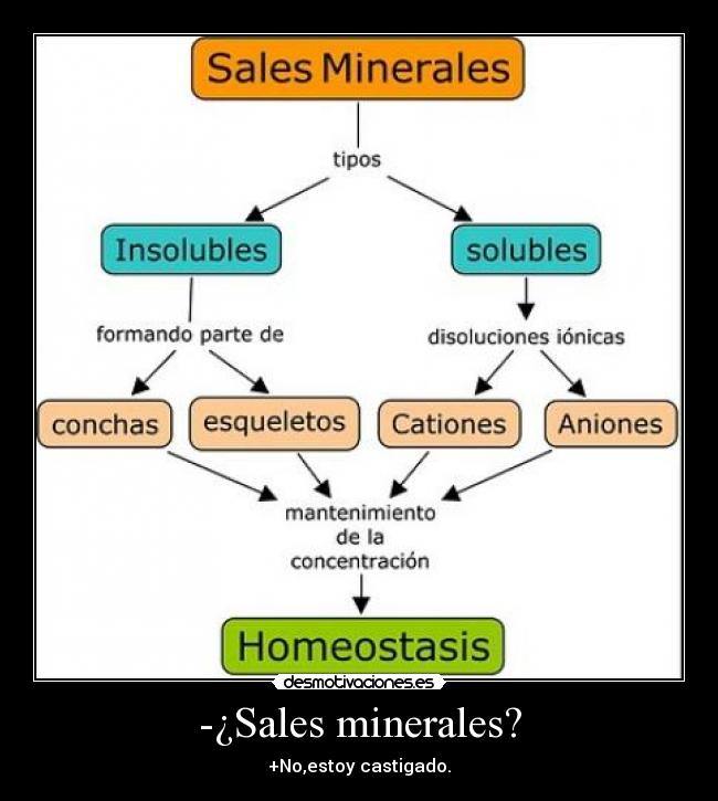 carteles sales minerales desmotivaciones