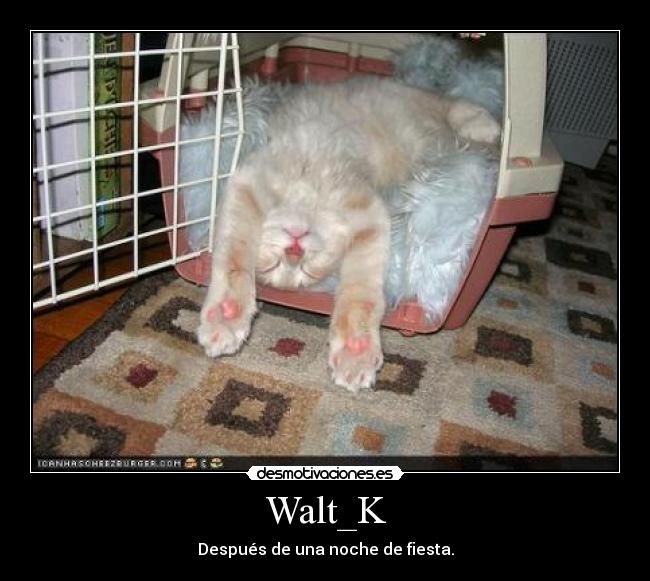 Walt_K - Después de una noche de fiesta.