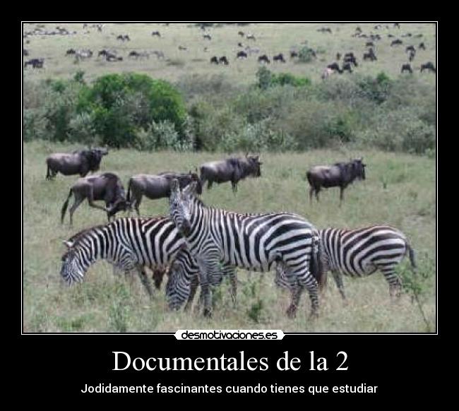Documentales de la 2 -