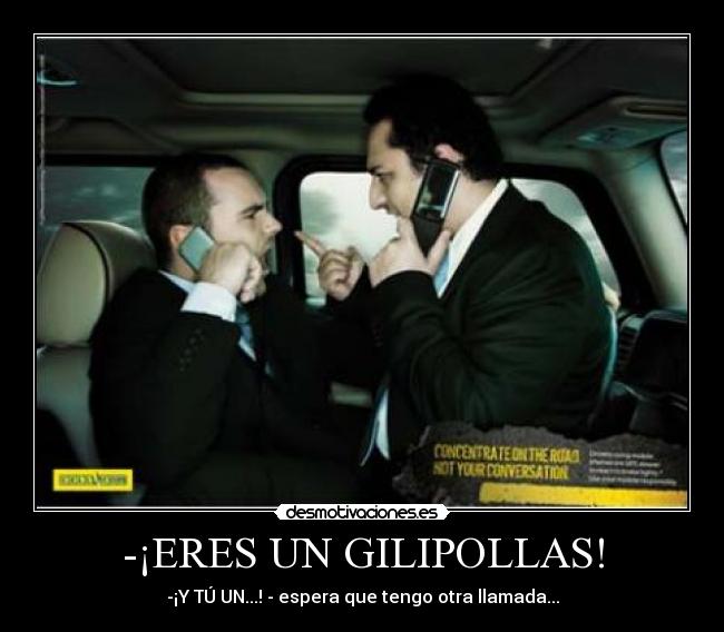 -¡ERES UN GILIPOLLAS! -