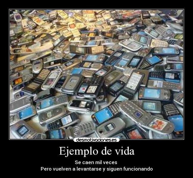 carteles vida celulares frases desmotivaciones