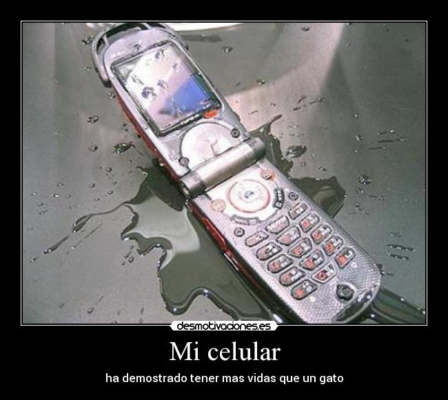 Mi celular -