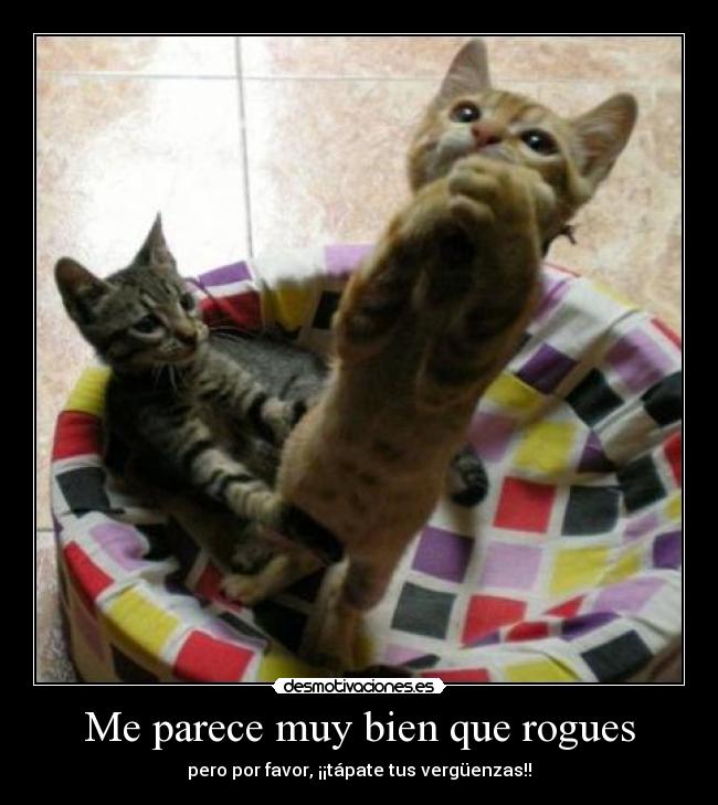 Me parece muy bien que rogues - pero por favor, ¡¡tápate tus vergüenzas!!
