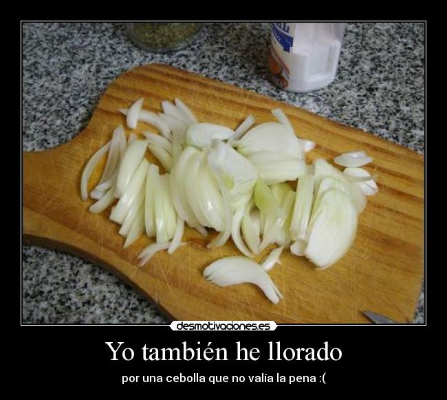 Yo también he llorado -