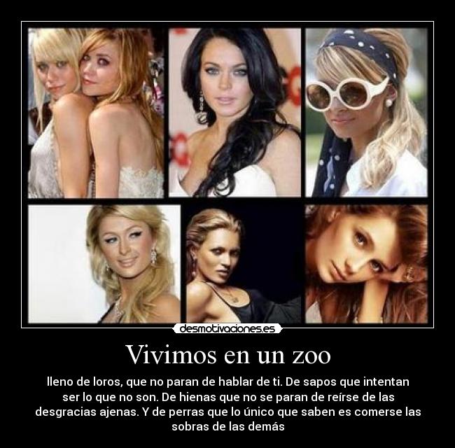 Vivimos en un zoo - lleno de loros, que no paran de hablar de ti. De sapos que intentan
ser lo que no son. De hienas que no se paran de reírse de las
desgracias ajenas. Y de perras que lo único que saben es comerse las
sobras de las demás