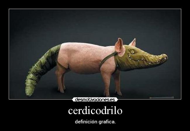 cerdicodrilo - 