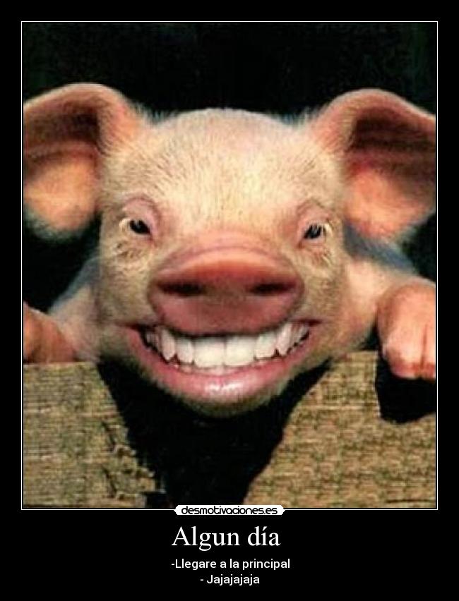 carteles emm desmotivaciones