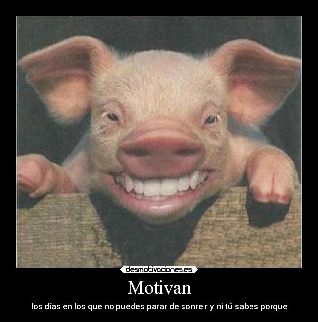 Motivan - 