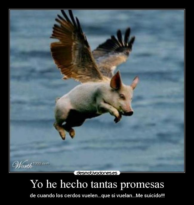 Yo he hecho tantas promesas - de cuando los cerdos vuelen...que si vuelan...Me suicido!!!