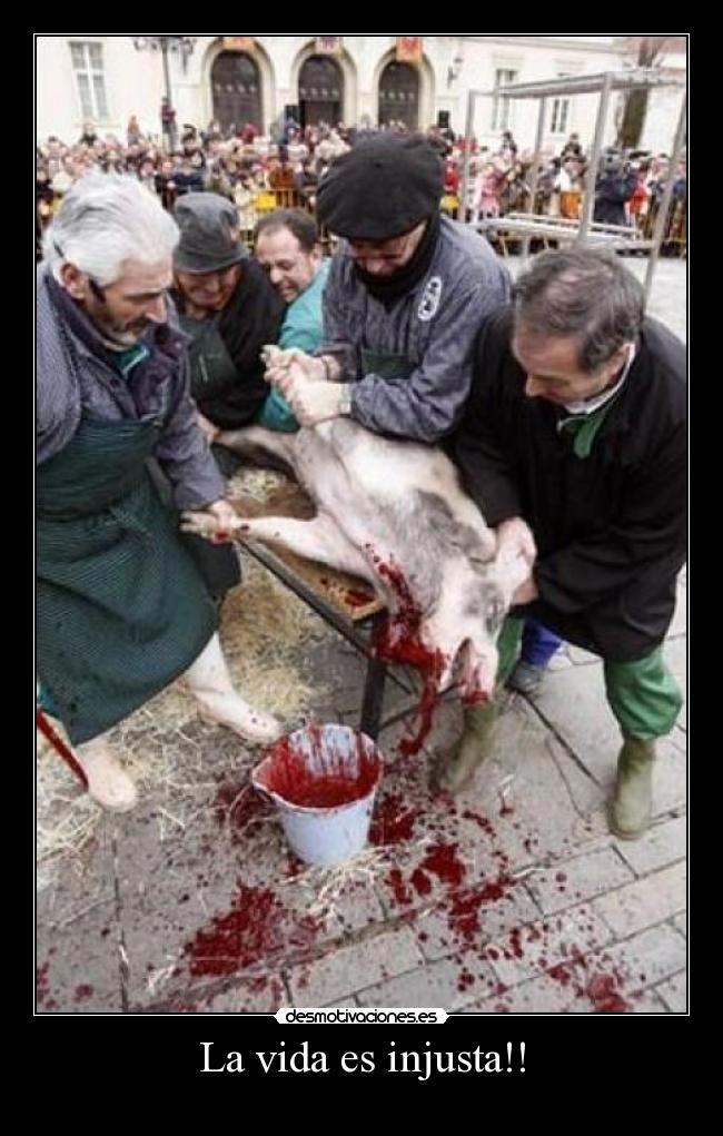 carteles vida httpdesmotivacionesesusuarioalvaropfrom httpdesmotivacionesesusuariowalt_k desmotivaciones