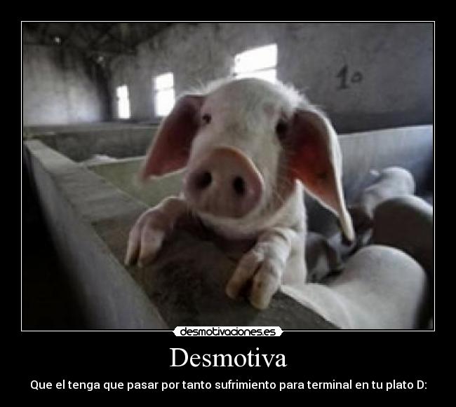 Desmotiva - Que el tenga que pasar por tanto sufrimiento para terminal en tu plato D: