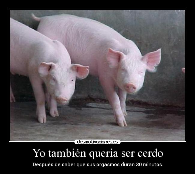 Yo también queria ser cerdo - Después de saber que sus orgasmos duran 30 minutos.