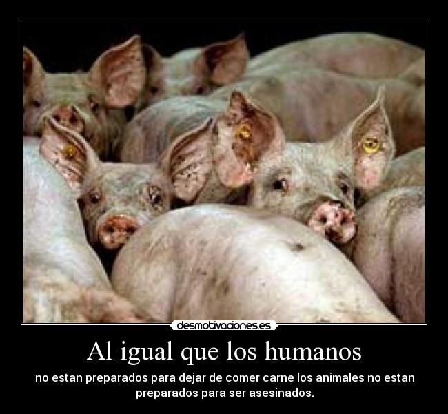 carteles enana23 desmotivaciones