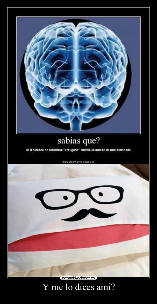 Y me lo dices ami? - 