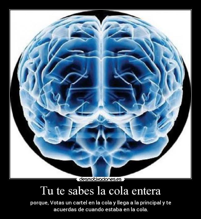 Tu te sabes la cola entera - porque, Votas un cartel en la cola y llega a la principal y te
acuerdas de cuando estaba en la cola.
