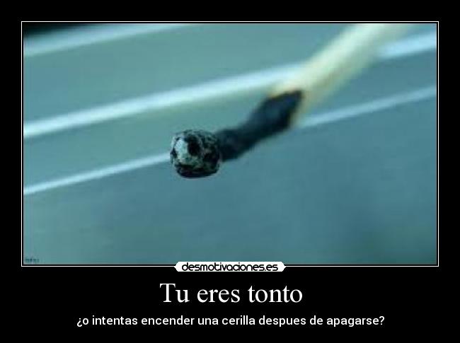 Tu eres tonto - 