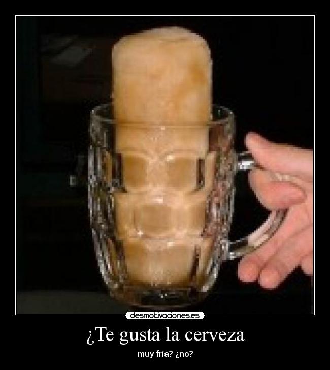 ¿Te gusta la cerveza -
