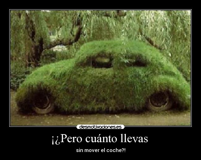 ¡¿Pero cuánto llevas - sin mover el coche?!