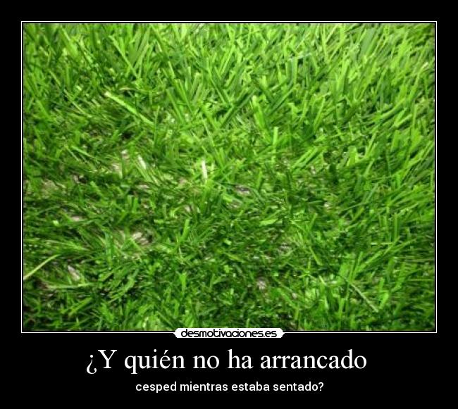 ¿Y quién no ha arrancado  - 