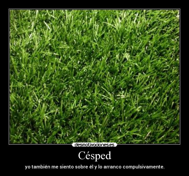 Césped - yo también me siento sobre él y lo arranco compulsivamente.