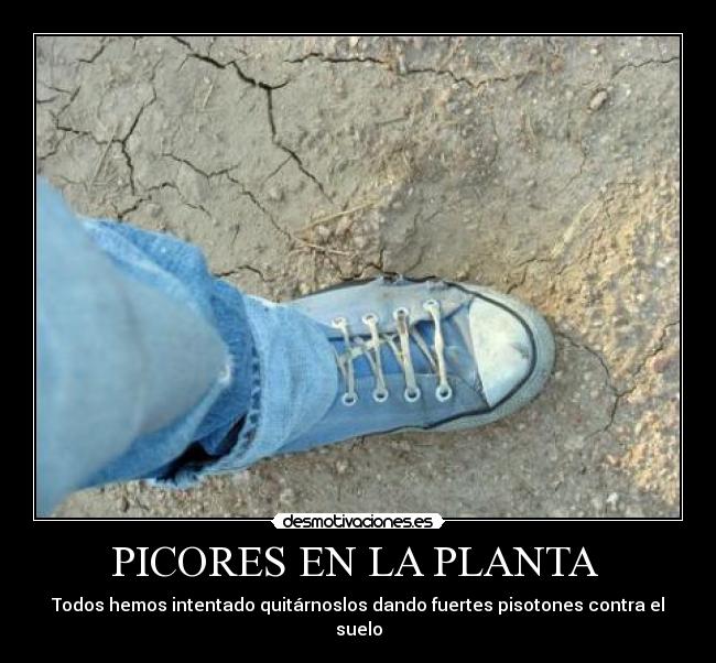 carteles picores planta desmotivaciones