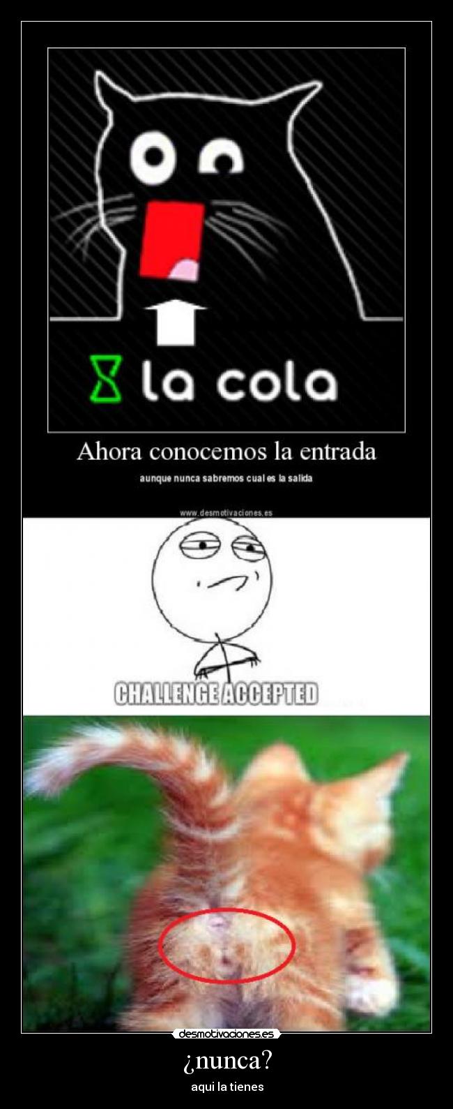 ¿nunca? - aqui la tienes