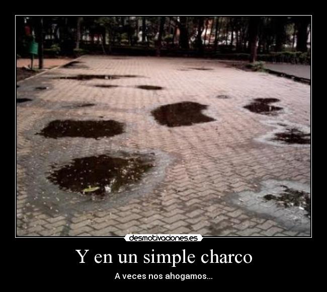 Y en un simple charco - 