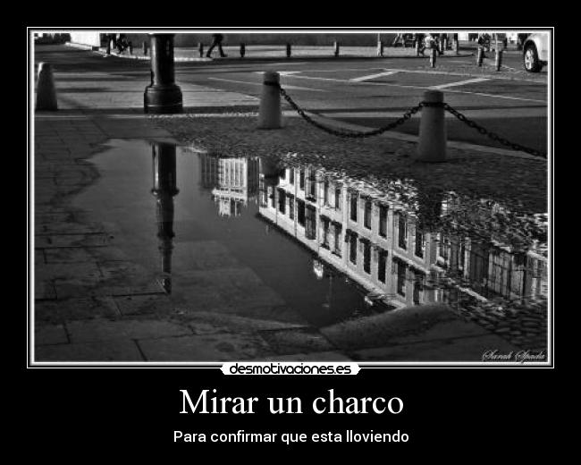 Mirar un charco - Para confirmar que esta lloviendo