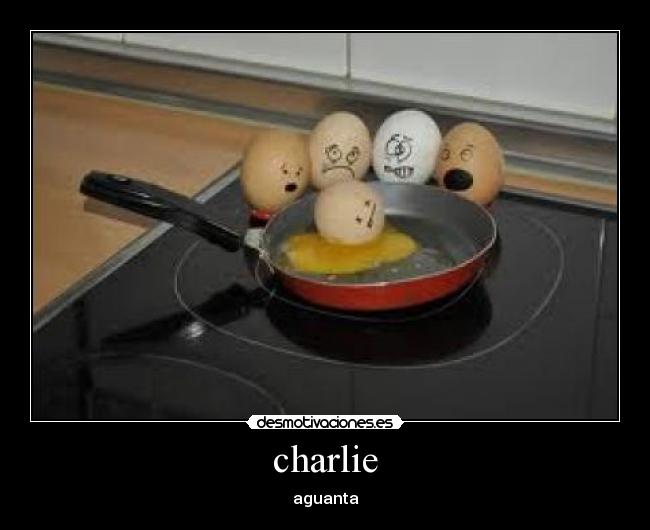 charlie - aguanta