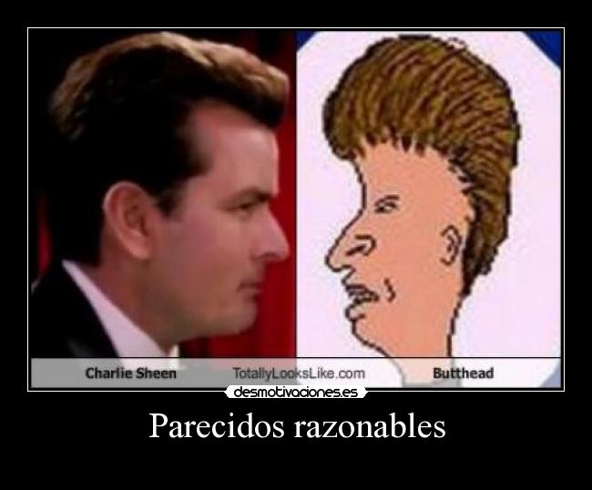 Parecidos razonables -