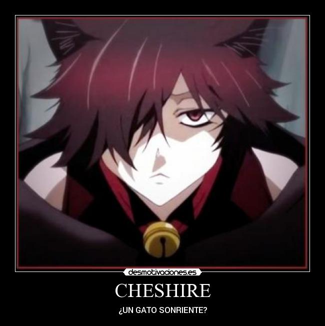 CHESHIRE - 