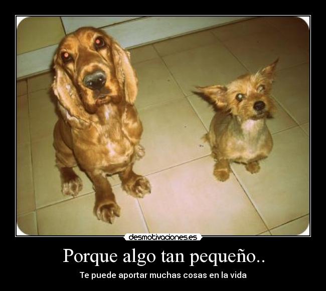 Porque algo tan pequeño.. -