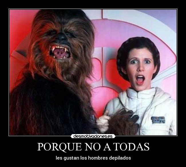 carteles don patx desmotivaciones