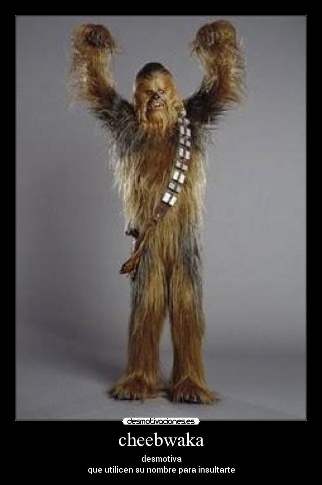 cheebwaka - desmotiva
que utilicen su nombre para insultarte