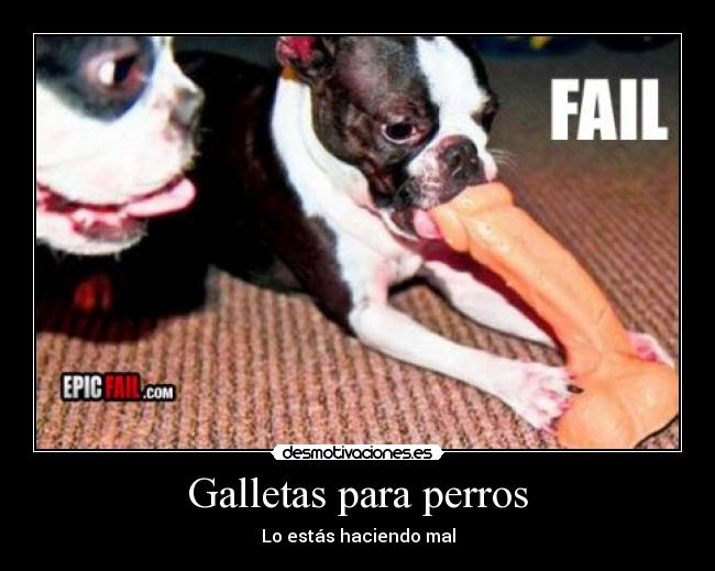 Galletas para perros - Lo estás haciendo mal