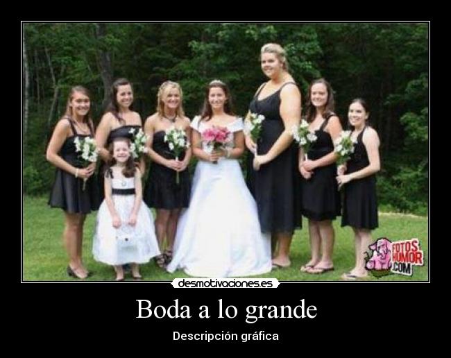 Boda a lo grande - Descripción gráfica