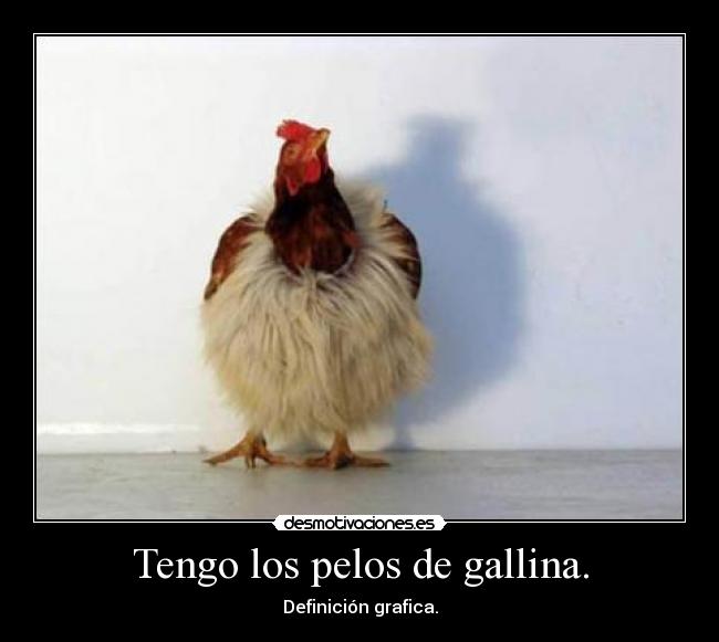 Tengo los pelos de gallina. - Definición grafica.