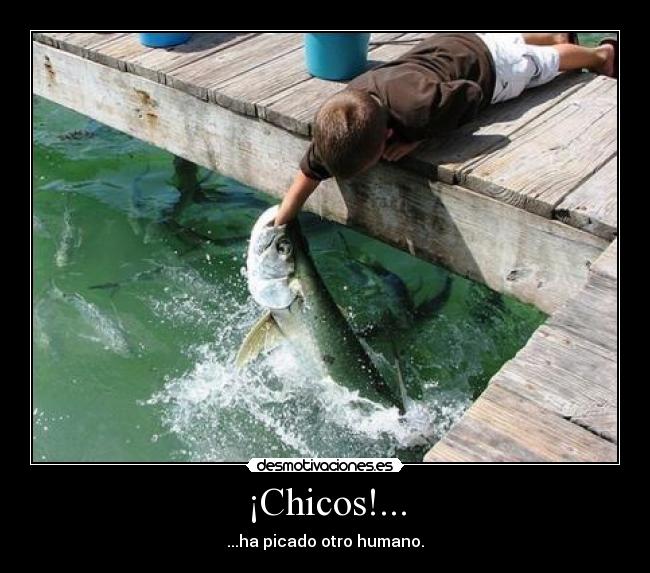 ¡Chicos!... -