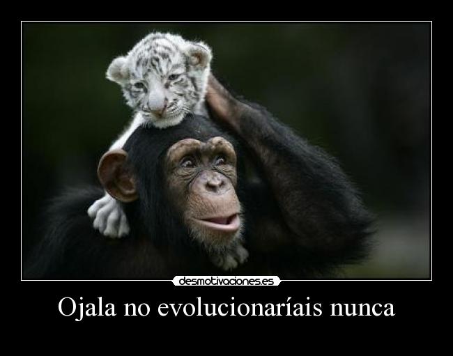 Ojala no evolucionaríais nunca -